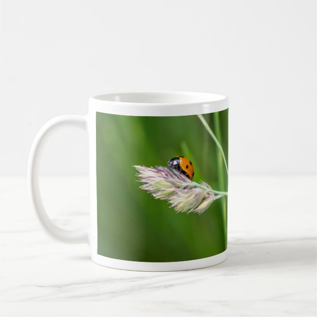 Chance tasse à café matinale ! (Gauche)