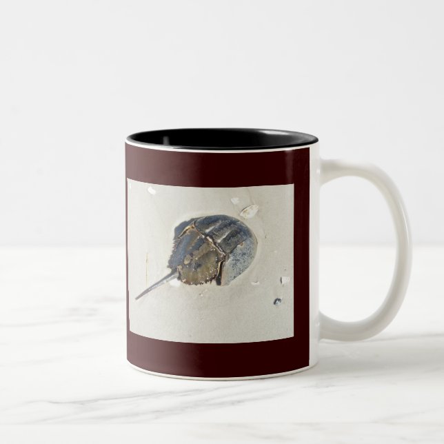Chandail à cheval Crab Mug (Droit)