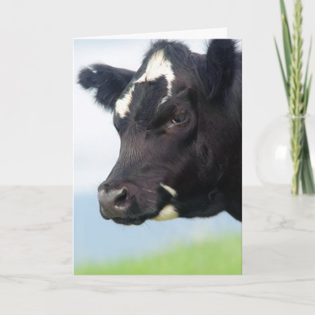 Changement d'adresse de vache la carte (Devant)