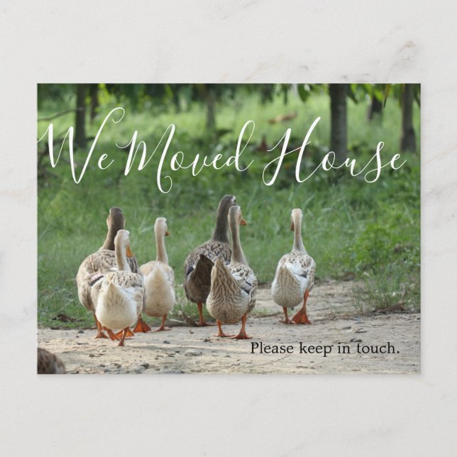 Changement d'adresse Fun Photo Carte postale perso (Devant)