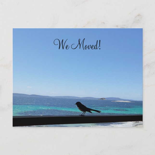 Changement de détails petite carte postale oiseau (Devant)