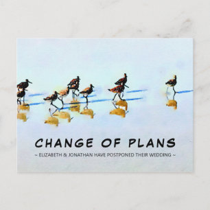 Changement de plan Sandpipers sur la carte postale
