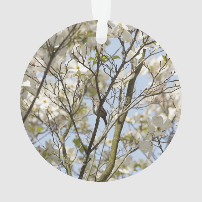 Chanson dans le Dogwood (dos)