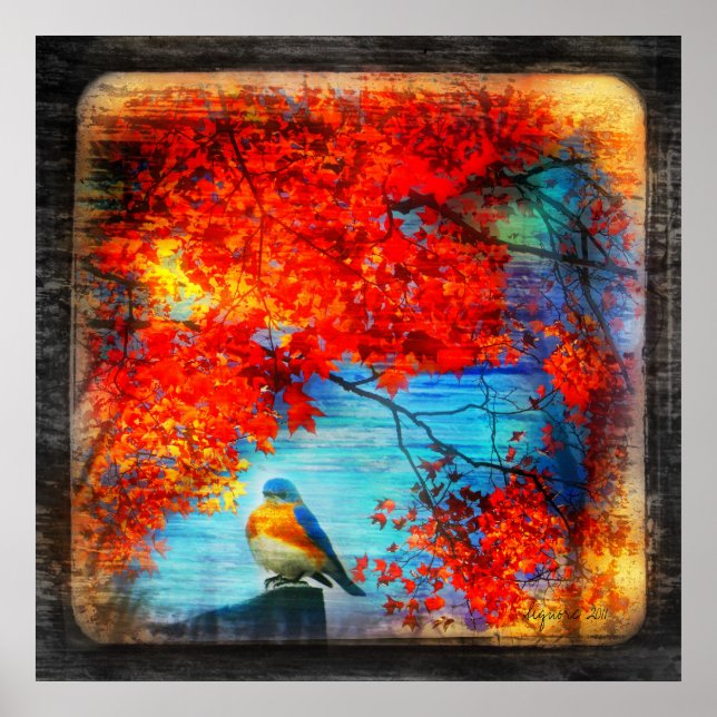 Chant Bluebirds, affiche (Devant)