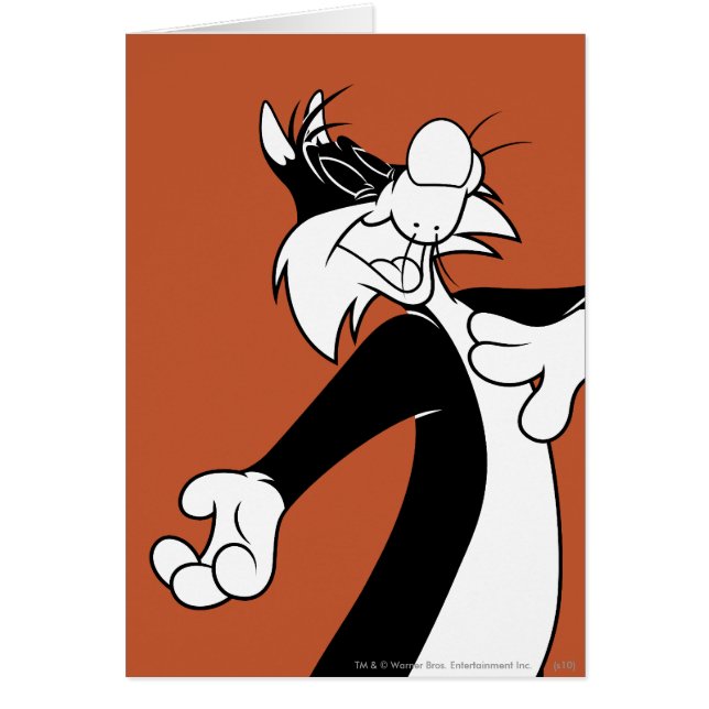 Chant SYLVESTER™ (Devant)