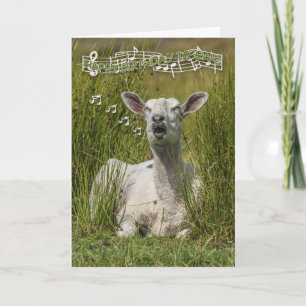 Chanter des moutons Carte de voeux d'anniversaire,