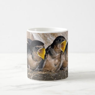 Chanter des poussins en hirondelle - Mugs