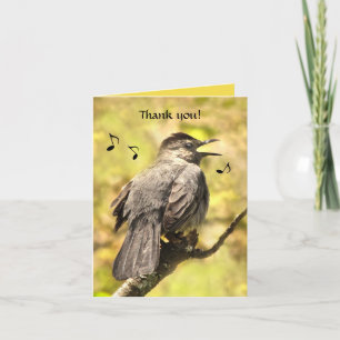 Chanter Grey Catbird Carte de remerciements