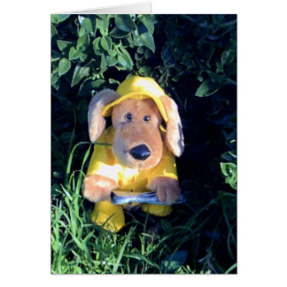 Chanter sous la pluie