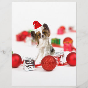Chapeau de Santa de Noël de chien Papillon mignon