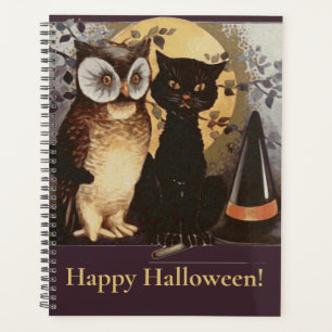 Chapeau de sorcière de chat noir et de hibou Hallo