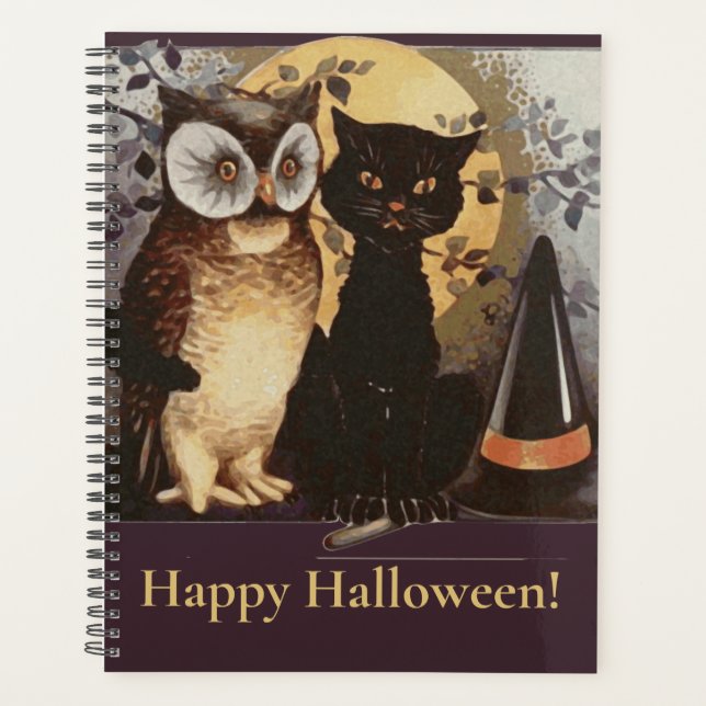 Chapeau de sorcière de chat noir et de hibou Hallo (Devant)