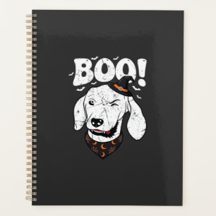 Chapeau de sorcière pour chien Halloween Boo Chauv