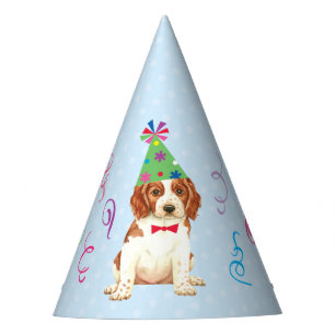 Chapeaux De Fètes Anniversaire de Welsh Springer Spaniel