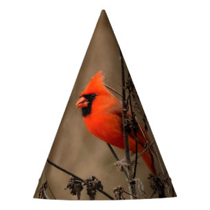 Chapeaux De Fètes Beau Cardinal du Nord