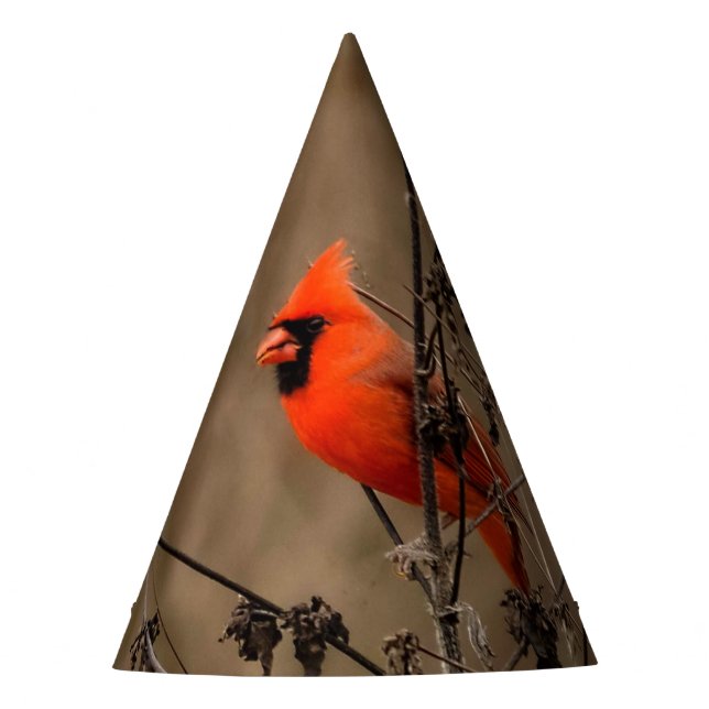 Chapeaux De Fètes Beau Cardinal du Nord  (Devant)