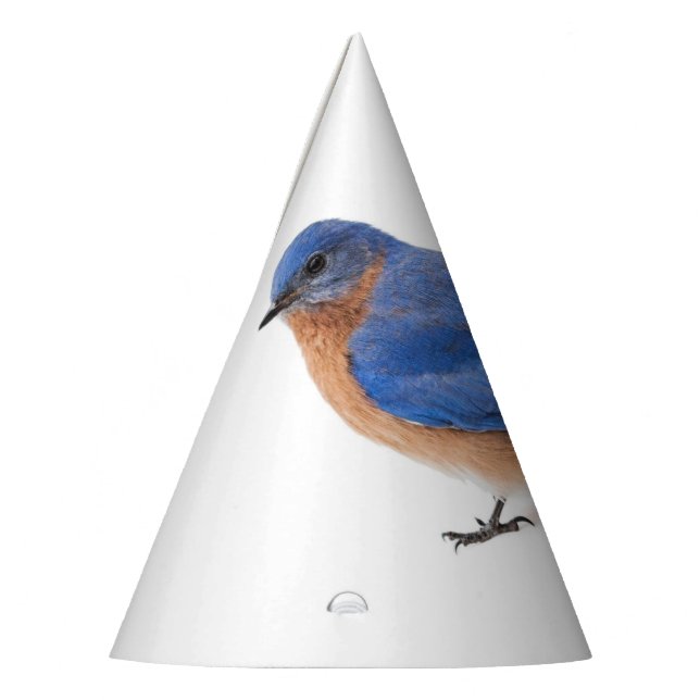 Chapeaux De Fètes Bluebird (Gauche)