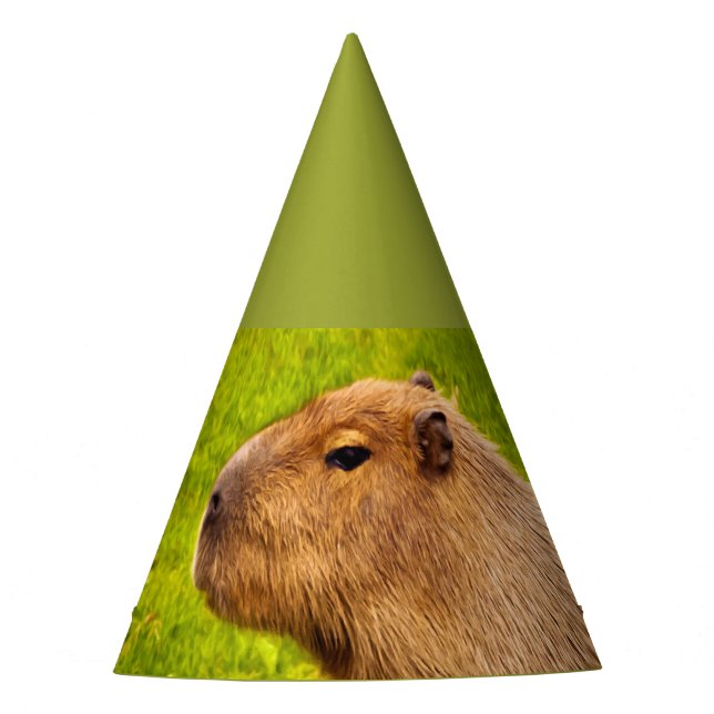 Chapeaux De Fètes Capybara (Devant)