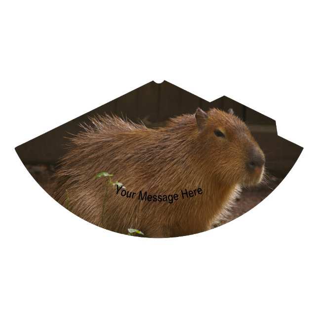 Chapeaux De Fètes Capybara (Devant)