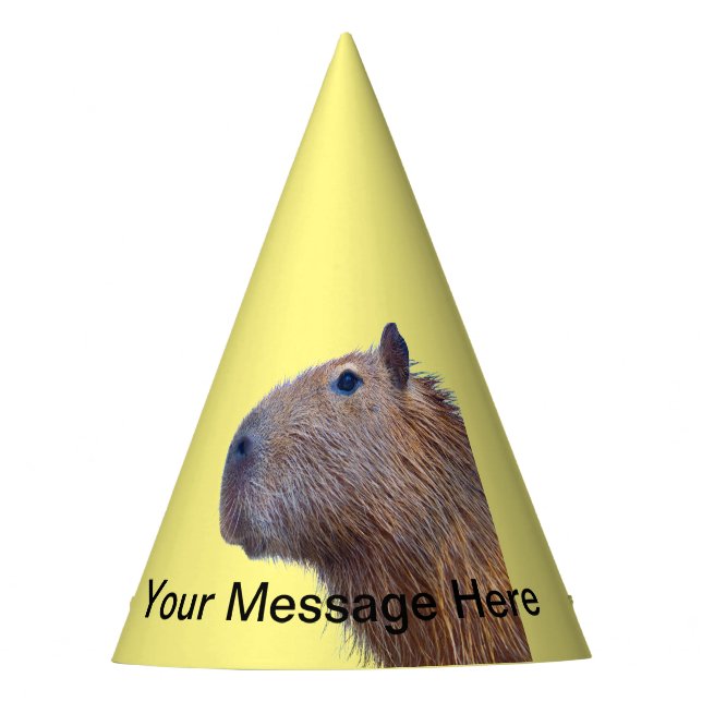 Chapeaux De Fètes Capybara (Devant)