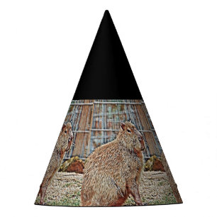 Chapeaux De Fètes Capybara