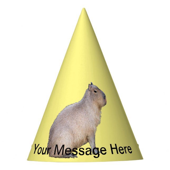 Chapeaux De Fètes Capybara (Devant)