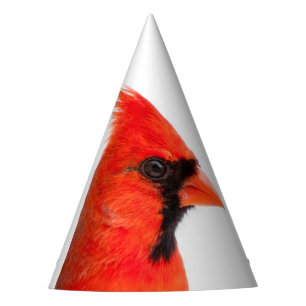 Chapeaux De Fètes Cardinal
