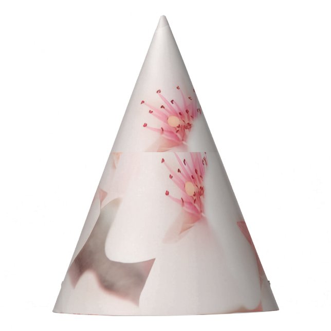 Chapeaux De Fètes Casquette (Devant)