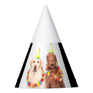 Chapeaux De Fètes Casquette de fête, à vendre !