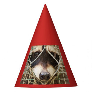 CHAPEAUX DE FÈTES CASQUETTE DE PARTIE DE RACCON