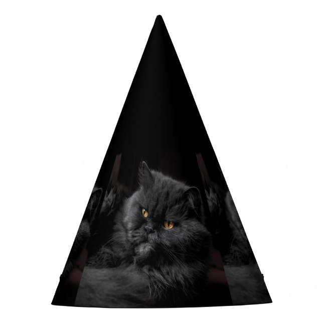 Chapeaux De Fètes Cat_20180101_by_JAMFoto (Devant)
