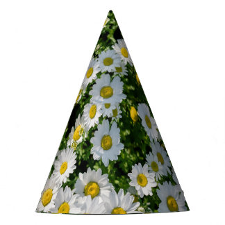 Chapeaux De Fètes Champ de marguerite du printemps : Arrière - plan