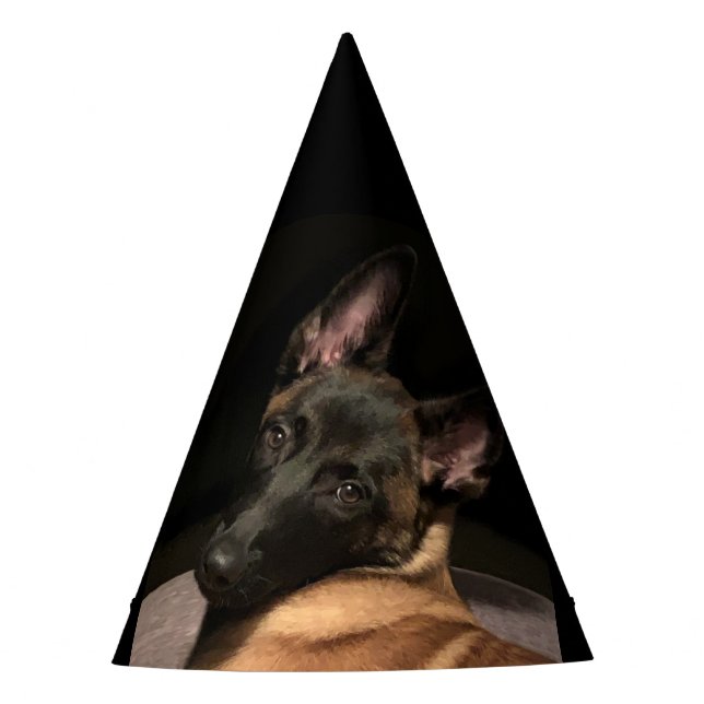 Chapeaux De Fètes Chien malinois (Devant)