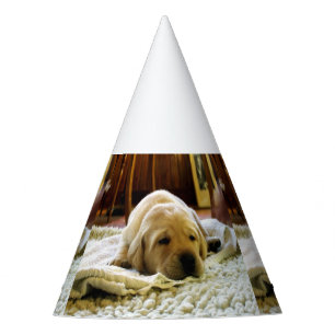 Chapeaux De Fètes chiot jaune 2 labo