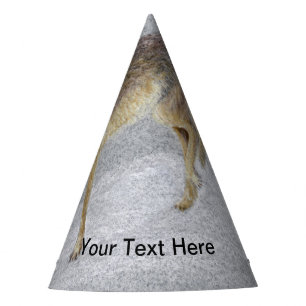 Chapeaux De Fètes Coyote