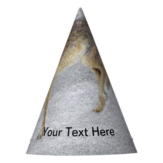 Chapeaux De Fètes Coyote (Devant)