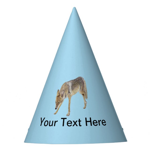 Chapeaux De Fètes Coyote (Devant)