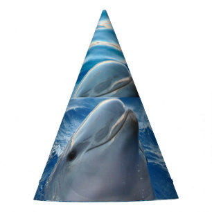 Chapeaux De Fètes Dauphin