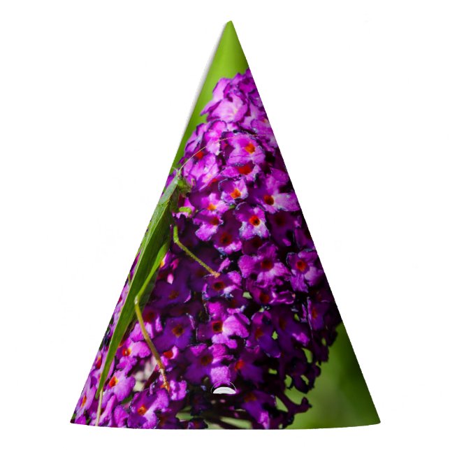 Chapeaux De Fètes énergie katydone (Gauche)