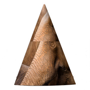Chapeaux De Fètes Famille des éléphants : Faune majestueuse