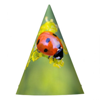 Chapeaux De Fètes femme au sommet