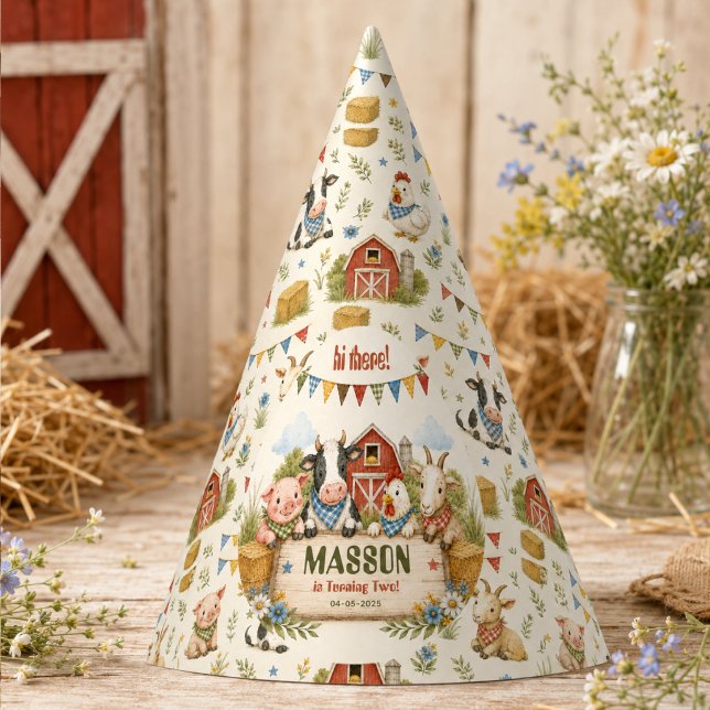 Chapeaux De Fètes Fête d'anniversaire de 2 ans à la ferme rustique p (Rustic Barnyard 2nd Birthday kids Party Hat
)