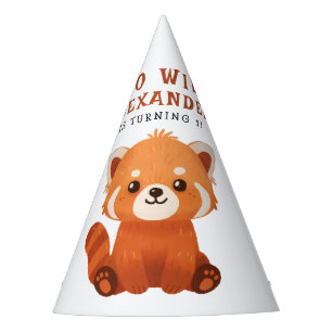 Chapeaux De Fètes Fête d'anniversaire du Panda roux 1 an