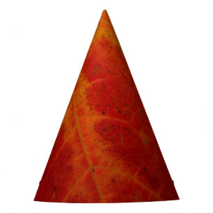 Chapeaux De Fètes Feuille d'érable rouge Abstraite Automne Photograp