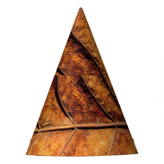 Chapeaux De Fètes Feuille sèche : arrière - plan de texture naturell