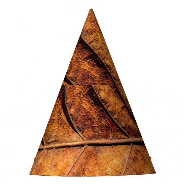 Chapeaux De Fètes Feuille sèche : arrière - plan de texture naturell (Devant)