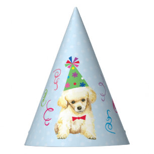 Chapeaux De Fètes Jouet de la fête d'anniversaire