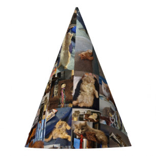 Chapeaux De Fètes Kitten Photo Collage, Casquettes du parti