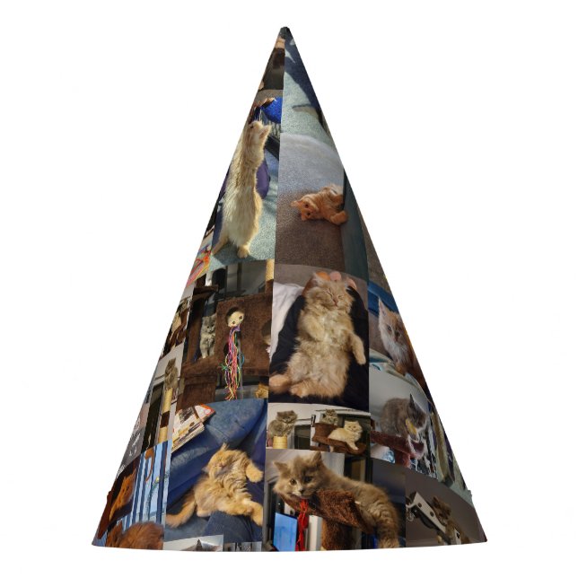 Chapeaux De Fètes Kitten Photo Collage, Casquettes du parti (Devant)