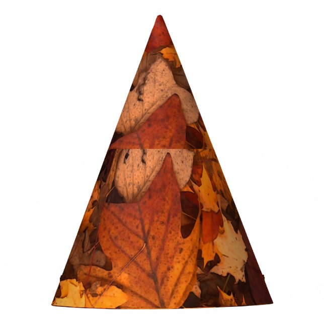 Chapeaux De Fètes l'automne (Devant)